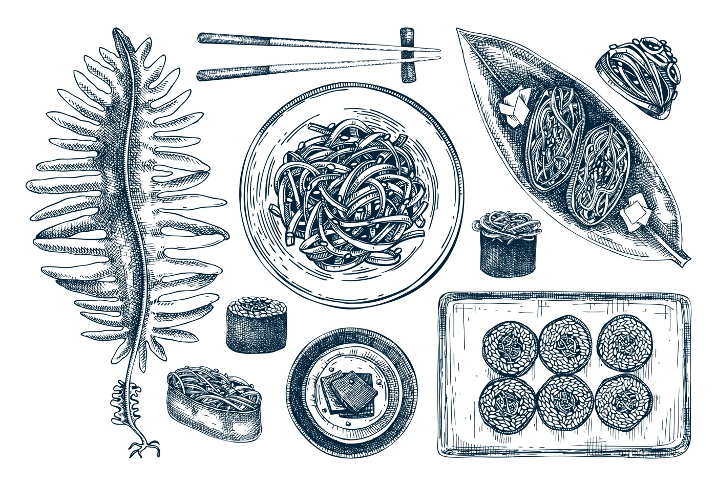 Hand drawn wakame sketches set. Edible seaweed drawing isolated on white background. Sea vegetables vector illustrations. Japanese cuisine dishes, healthy food ingredients in engraved style Illustration